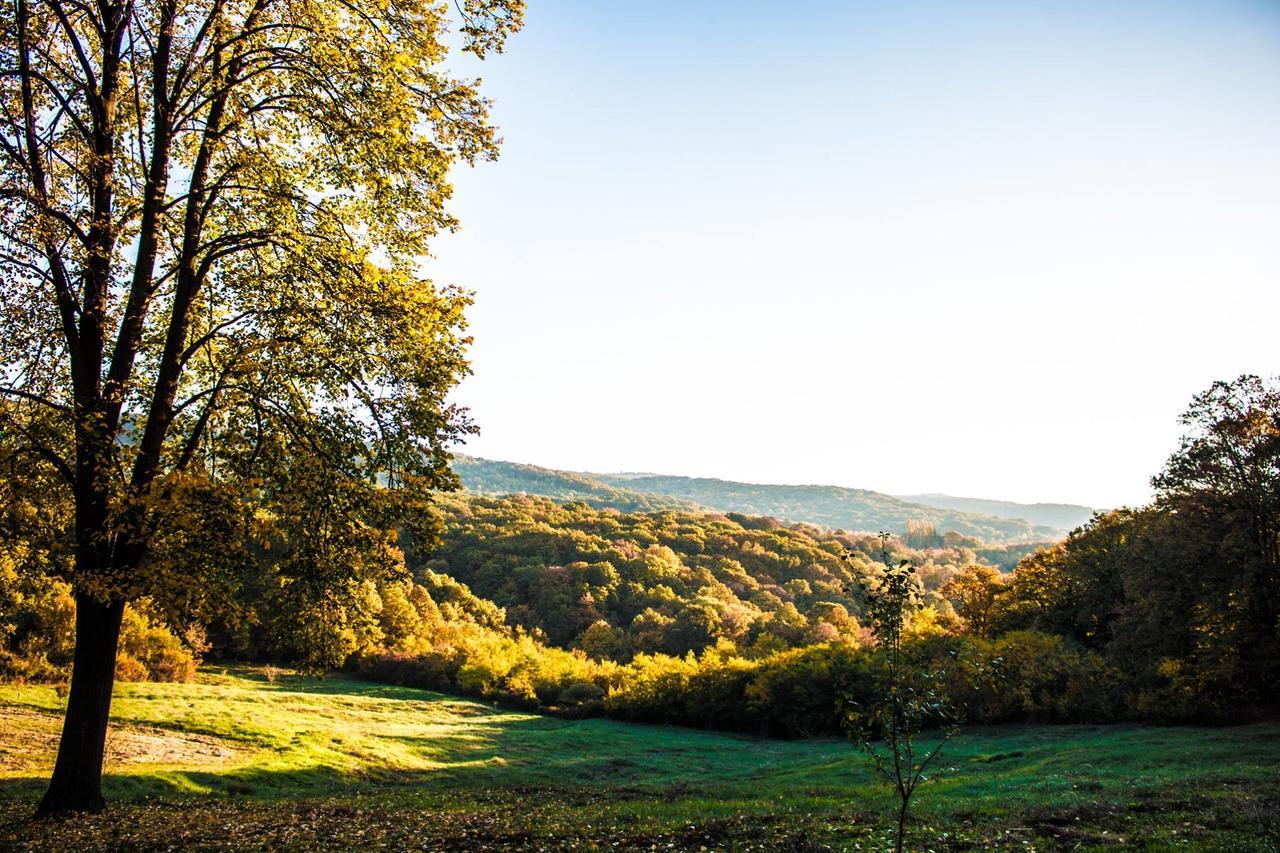 Etno Naselje Vrdnicka Kula Bed and Breakfast Vrdnik Zewnętrze zdjęcie